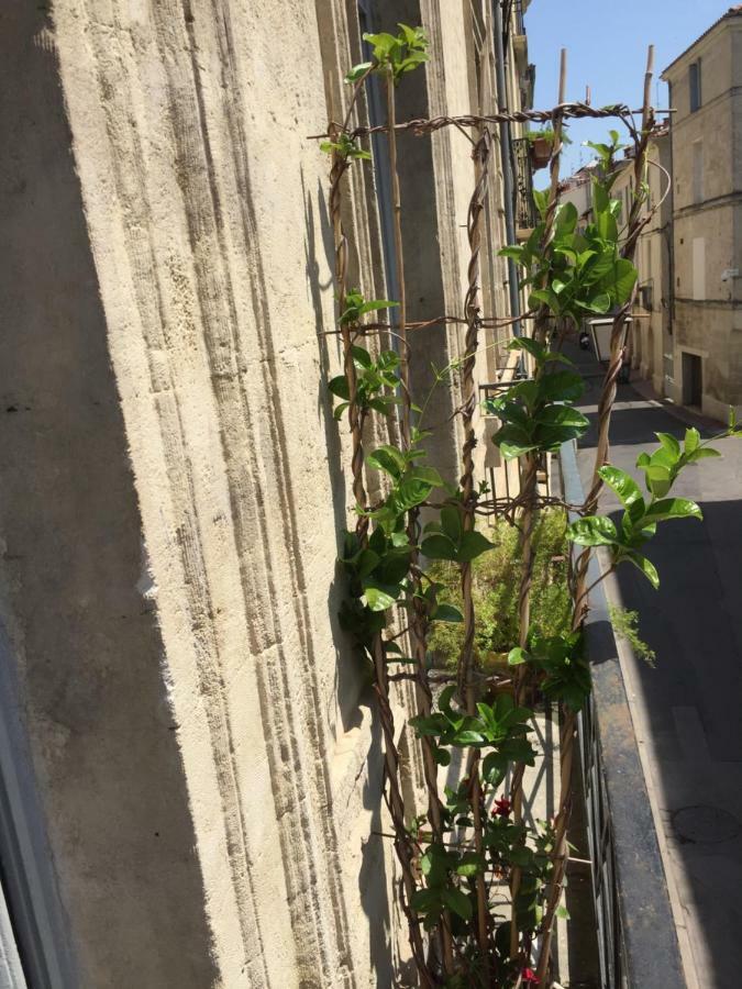 Ferienwohnung Chez Noelle et Emmanuel Montpellier Exterior foto